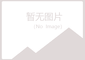 瓦房店山柳化学有限公司